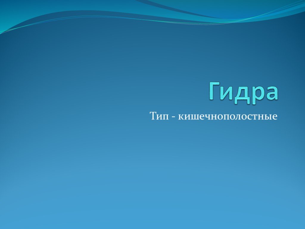 Кракен интернет