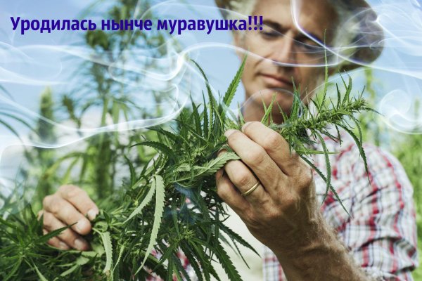 Как выводить деньги с кракена