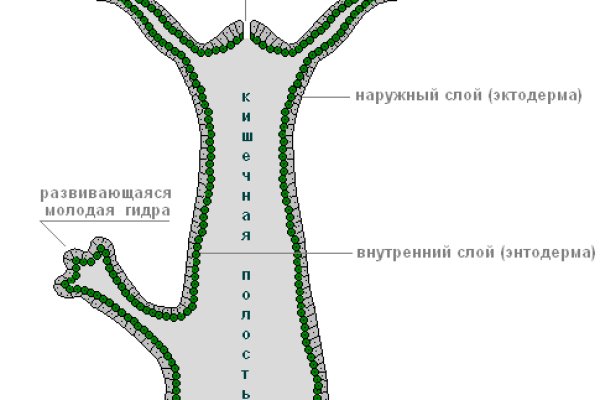 Кракен маркетплейс 2025