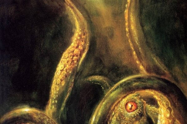 Kraken официальная ссылка tor