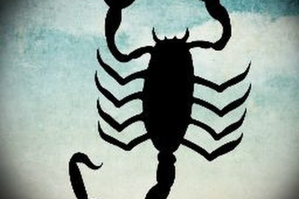 Kraken17 at