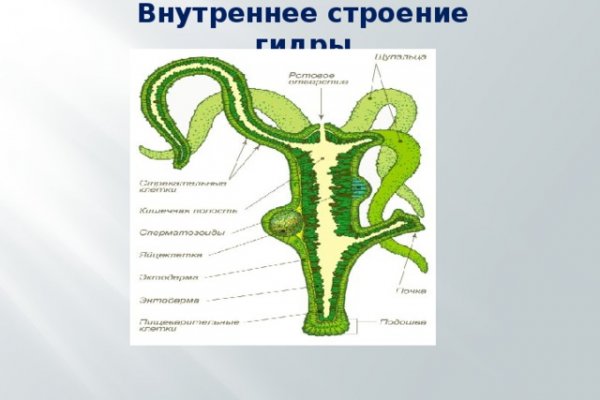 Что с кракеном сайт
