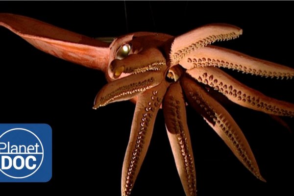 Kraken рабочий