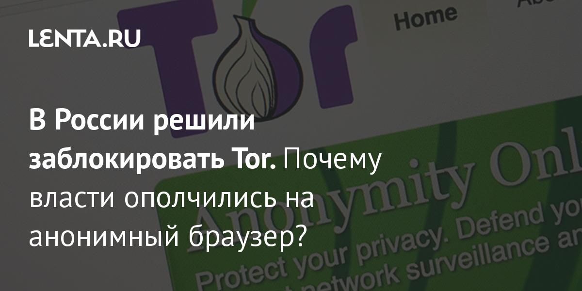 Как найти кракен шоп