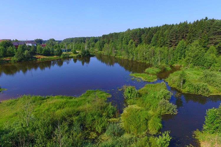 Кракен купить гашиш