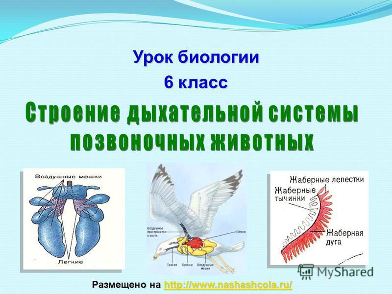 Кракен маркер даркнет
